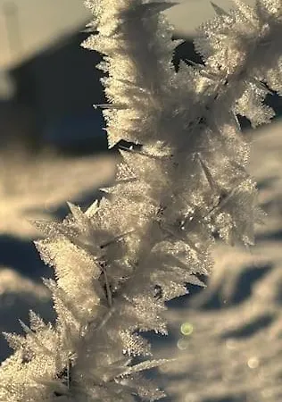 Kvaloya Arctic Retreat - In Beautiful Kvaloya,