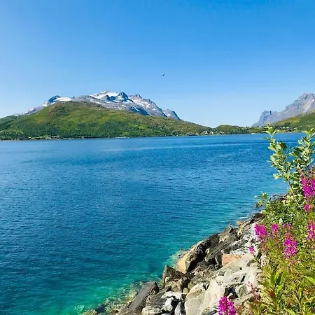 홈스테이 Kvaloya Arctic Retreat - In Beautiful Kvaloya, *