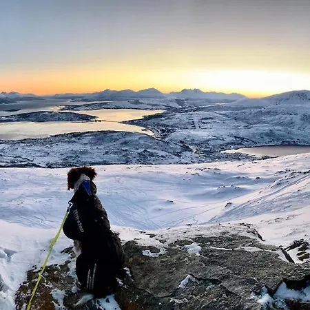 Kvaloya Arctic Retreat - In Beautiful Kvaloya, Homestay