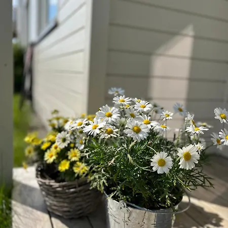 Kvaloya Arctic Retreat - In Beautiful Kvaloya,