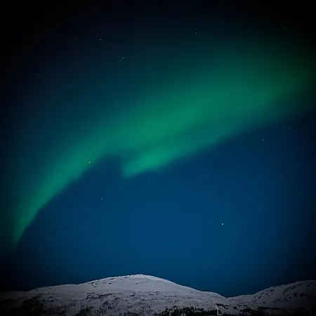 Homestay Kvaloya Arctic Retreat - In Beautiful Kvaloya,
