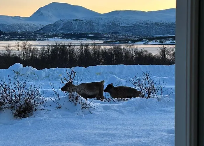 Kvaløya Arctic Retreat - In Beautiful Kvaløya, Privat overnatting Tromsø