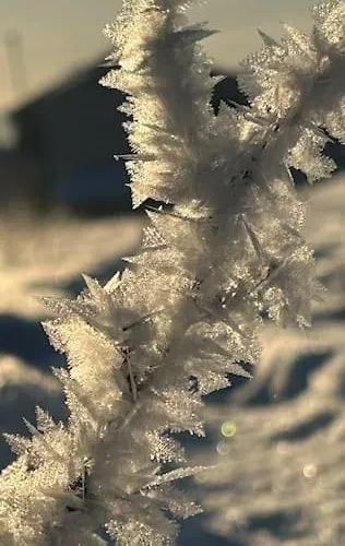 Kvaløya Arctic Retreat - In Beautiful Kvaløya,