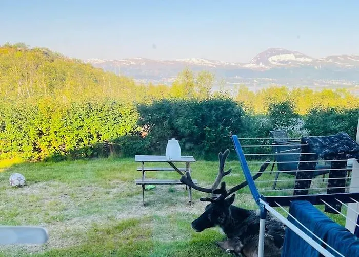 Kvaløya Arctic Retreat - In Beautiful Kvaløya,