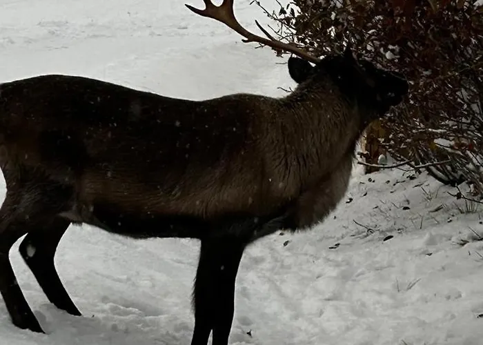 Kvaløya Arctic Retreat - In Beautiful Kvaløya, Tromsø