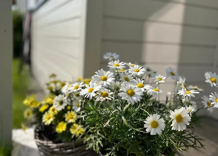 Kvaløya Arctic Retreat - In Beautiful Kvaløya,