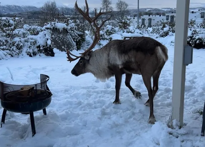 Kvaløya Arctic Retreat - In Beautiful Kvaløya, * Tromsø