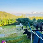 Kvaloya Arctic Retreat - In Beautiful Kvaloya,