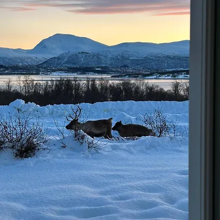 Kvaloya Arctic Retreat - In Beautiful Kvaloya, Quarto em Acomodações Particulares Tromsø